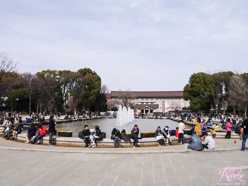 【東京賞櫻】上野恩賜公園 x 東京國立博物館。2018東京櫻花預測～日本東京超人氣賞櫻景點