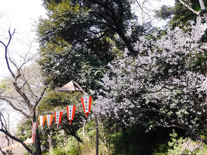 【東京賞櫻】上野恩賜公園 x 東京國立博物館。2018東京櫻花預測～日本東京超人氣賞櫻景點