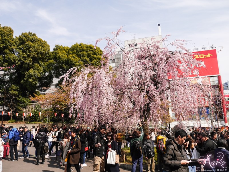 【東京賞櫻】上野恩賜公園 x 東京國立博物館。2018東京櫻花預測～日本東京超人氣賞櫻景點