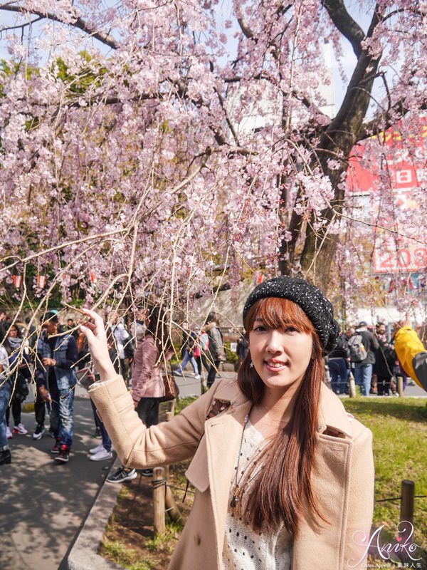 【東京賞櫻】上野恩賜公園 x 東京國立博物館。2018東京櫻花預測～日本東京超人氣賞櫻景點