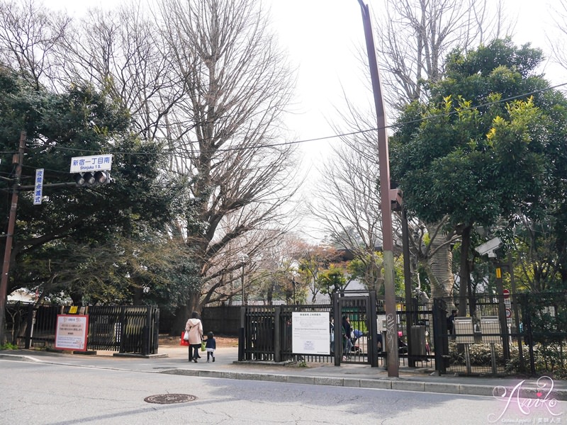 【東京賞櫻】新宿御苑。東京人最愛的賞櫻景點！來場浪漫的野餐吧