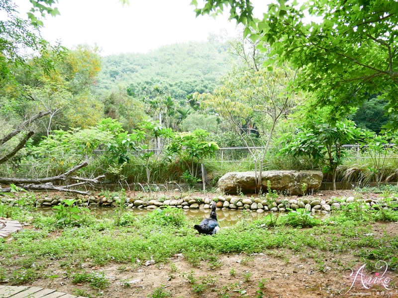 【苗栗旅遊】2019苗栗景點美食懶人包。四天三夜帶你玩遍12個好吃好玩景點推薦