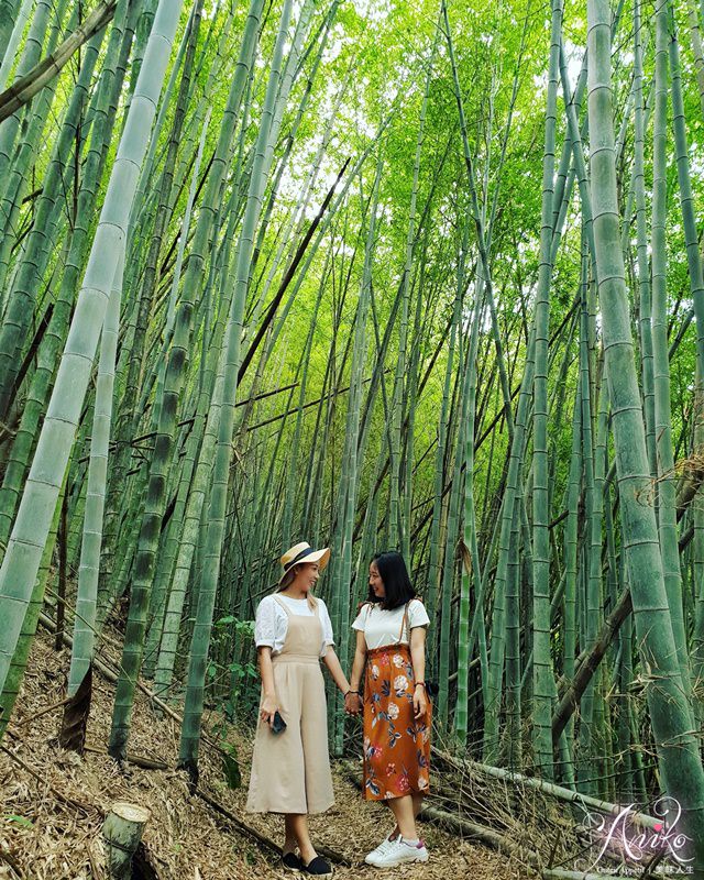 【苗栗旅遊】2019苗栗景點美食懶人包。四天三夜帶你玩遍12個好吃好玩景點推薦