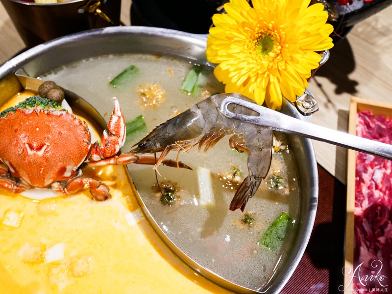 【台北美食】東雛菊風味鍋物。公館火鍋推薦~獨家私房湯底一喝就圈粉！巧克力和牛、台南溫體牛這裡吃的到