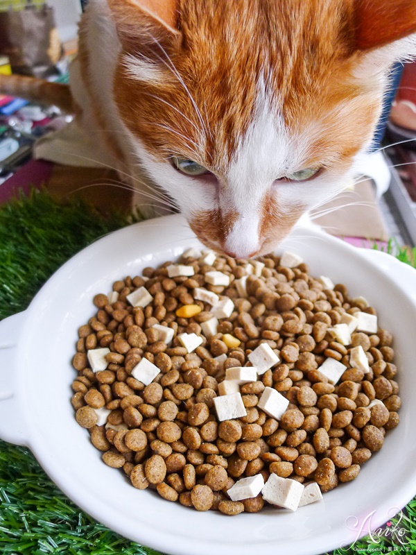 【貓飼料推薦】Tapazo 特百滋。挑嘴毛孩必嚐！凍乾雙饗宴～一次結合乾糧和鮮食級凍乾！視覺味覺雙重享受