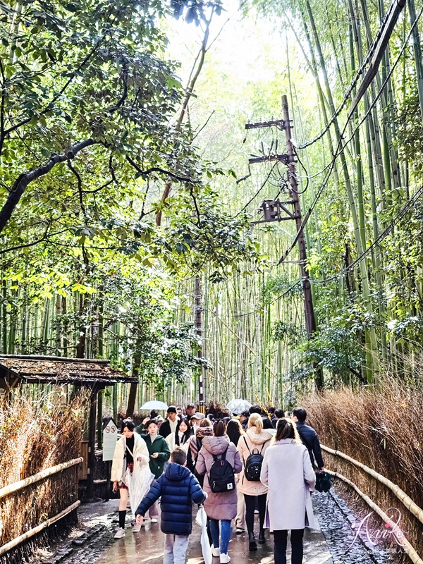 【大阪自由行】京都奈良一日遊。專車接送關西必玩景點！伏見稻荷大社＆嵐山＆金閣寺＆奈良公園