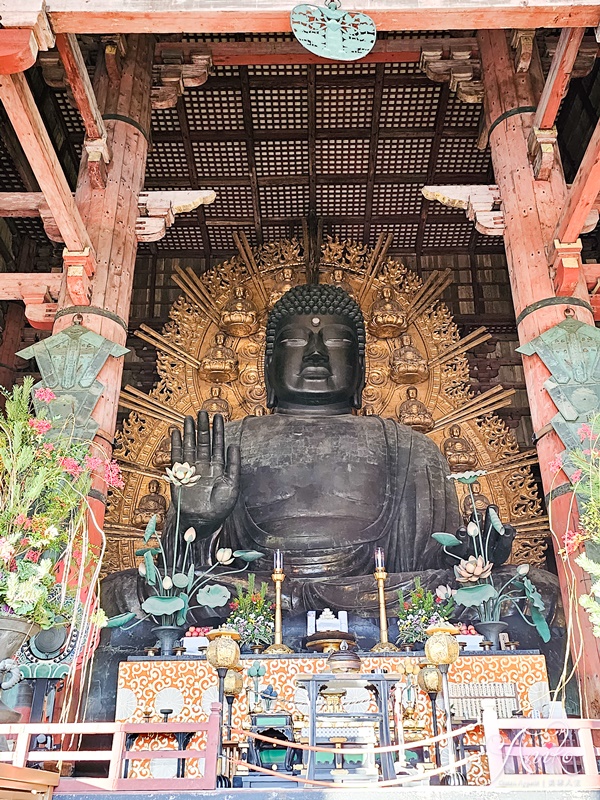 【大阪自由行】京都奈良一日遊。專車接送關西必玩景點！伏見稻荷大社＆嵐山＆金閣寺＆奈良公園