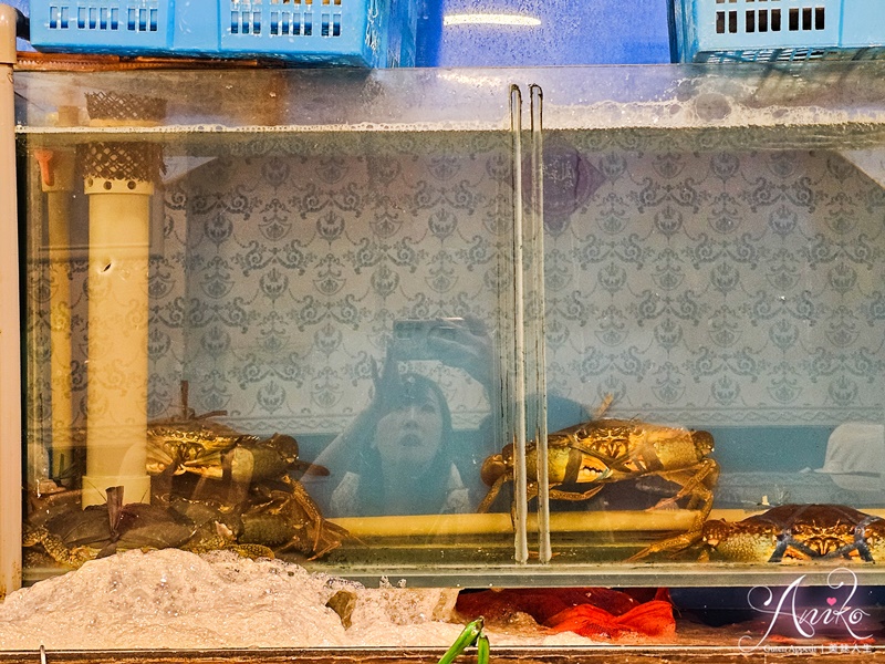 【台北美食】龍少爺港式海鮮。中山區40年粵菜餐廳！招牌滷雞爪、煲仔飯和星洲醬螃蟹一次滿足