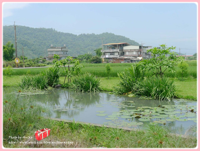 【宜蘭夏季遊】宜蘭民宿入住首選　下一站幸福光晞的家。水畔星墅時尚渡假會館