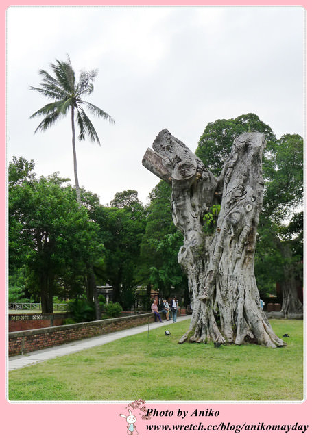 【台南旅遊】忠義國小 x 孔廟美到不思議！台南最美的日式風小學