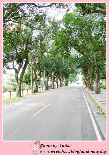 【秋❤雲林】優美宜人的林蔭大道。古坑綠色隧道 x 蜜蜂故事館