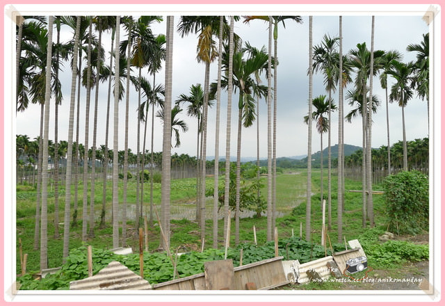 【夏❤新竹輕旅行】古早味眷村的可愛新風貌。客家軟橋彩繪村