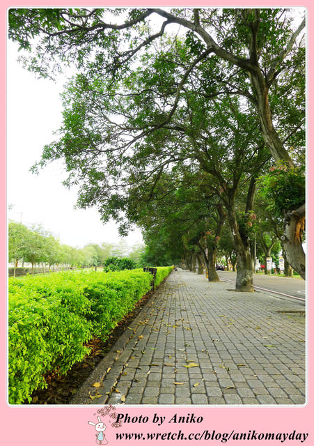 【秋❤雲林】優美宜人的林蔭大道。古坑綠色隧道 x 蜜蜂故事館