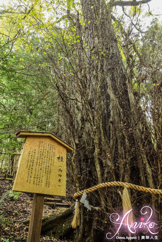 【2016❤京都】京都郊區的貴船神社+流水麵。路途遙遠但不來體驗絕對可惜的川床流水麵