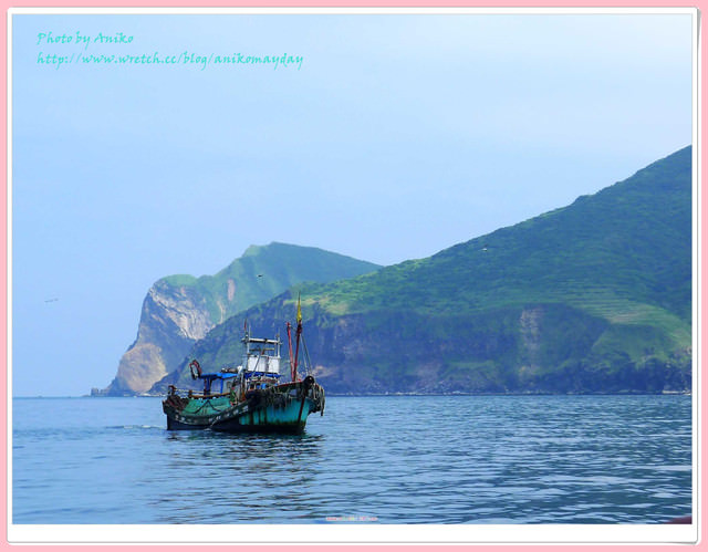 【宜蘭夏季遊】好可愛的飛躍鯨豚。龜山島賞鯨