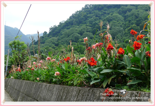 【夏❤新竹輕旅行】古早味眷村的可愛新風貌。客家軟橋彩繪村