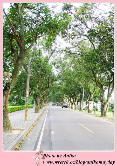 【秋❤雲林】優美宜人的林蔭大道。古坑綠色隧道 x 蜜蜂故事館