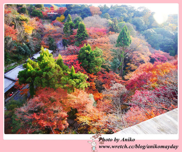 【2012秋❤京阪】4天3夜賞楓行。這裡美得像幅畫。清水寺 x 清水坂 x 地主神社